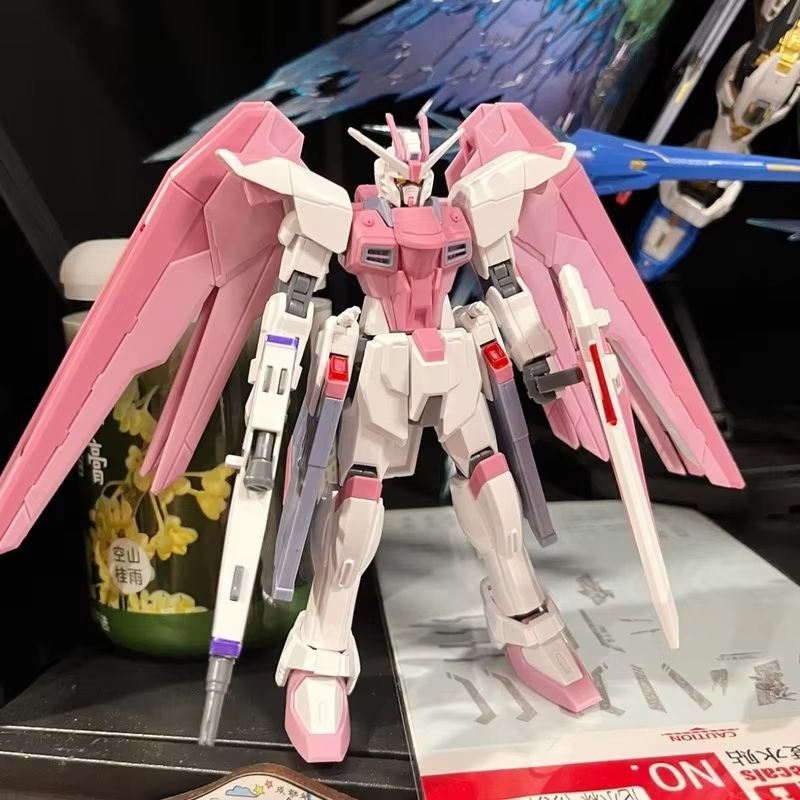 JMS HG 1/144 ZY-06 Freedom Ass - Bandai Model Gundam Hg recensione e prezzo